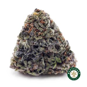 Buy Pink Tuna AAAA wc cannabis weed dispensary & online pot shop