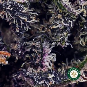 Buy Pink Tuna AAAA wc cannabis weed dispensary & online pot shop