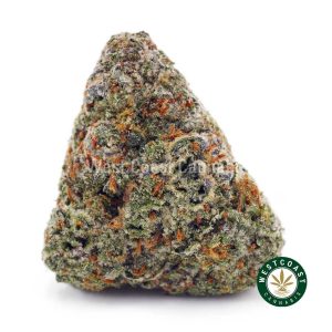 Buy Tropicana Cookies AAAA wc cannabis weed dispensary & online pot shop