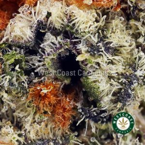 Buy Tropicana Cookies AAAA wc cannabis weed dispensary & online pot shop