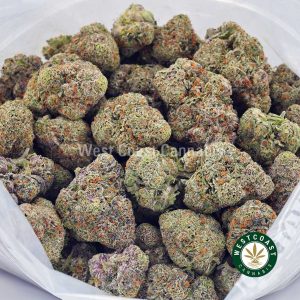 Buy Tropicana Cookies AAAA wc cannabis weed dispensary & online pot shop