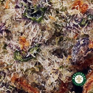 Buy Astroboy AAA wc cannabis weed dispensary & online pot shop