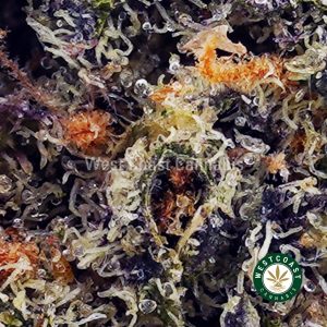 Buy Dragon Berry AAAA wc cannabis weed dispensary & online pot shop