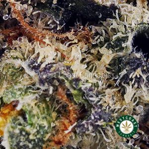 Buy Wedding Crashers AA wc cannabis weed dispensary & online pot shop