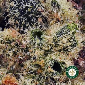 Buy Goji Berry AAAA wc cannabis weed dispensary & online pot shop