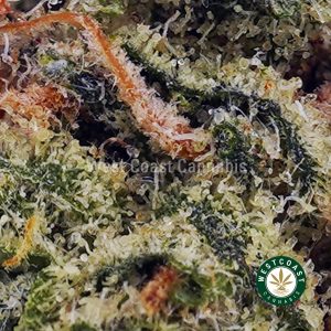 Buy Funky Charms AAAA (Popcorn Nugs) wc cannabis weed dispensary & online pot shop
