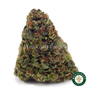 Buy Master Kush Ultra AAA wc cannabis weed dispensary & online pot shop