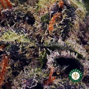Buy Green Goblin AAAA (Popcorn Nugs) wc cannabis weed dispensary & online pot shop