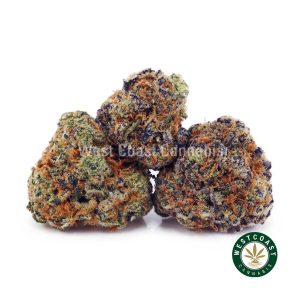 Buy Biscotti AAAA (Popcorn Nugs) wc cannabis weed dispensary & online pot shop