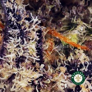 Buy Biscotti AAAA (Popcorn Nugs) wc cannabis weed dispensary & online pot shop