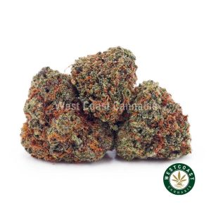 Buy Strawberry Cheesecake AAAA (Popcorn Nugs) wc cannabis weed dispensary & online pot shop