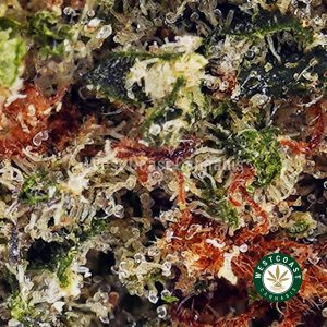 Buy Strawberry Cheesecake AAAA (Popcorn Nugs) wc cannabis weed dispensary & online pot shop