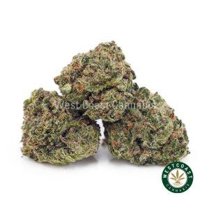Buy Animal Cookies AAAA (Popcorn Nugs) wc cannabis weed dispensary & online pot shop