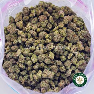 Buy Animal Cookies AAAA (Popcorn Nugs) wc cannabis weed dispensary & online pot shop