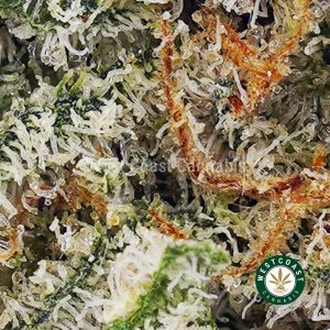 Buy NYC Cheesecake AAAA (Popcorn Nugs) wc cannabis weed dispensary & online pot shop