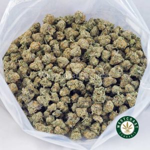 Buy NYC Cheesecake AAAA (Popcorn Nugs) wc cannabis weed dispensary & online pot shop