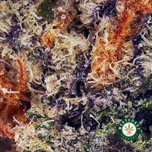 Buy Strawberry Bomb AAAA (Popcorn Nugs) wc cannabis weed dispensary & online pot shop