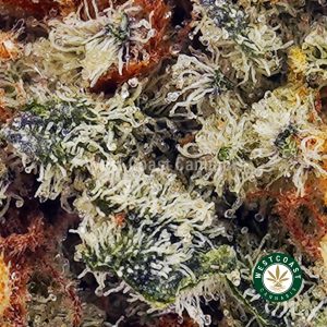 Buy Cookie Dough AAAA (Popcorn Nugs) wc cannabis weed dispensary & online pot shop