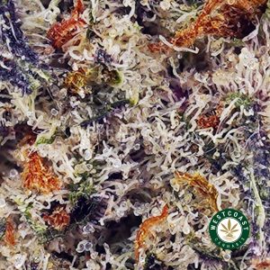 Buy Cereal Milk AAAA (Popcorn Nugs) wc cannabis weed dispensary & online pot shop