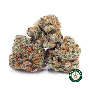 Buy White Tahoe Cookies AAAA (Popcorn Nugs) wc cannabis weed dispensary & online pot shop