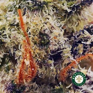 Buy Papaya Punch AAAA (Popcorn Nugs) wc cannabis weed dispensary & online pot shop