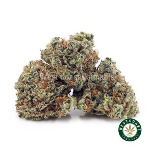Buy El Chapo AAAA (Popcorn Nugs) wc cannabis weed dispensary & online pot shop
