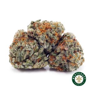 Buy Gelato Biscuit AAAA (Popcorn Nugs) wc cannabis weed dispensary & online pot shop