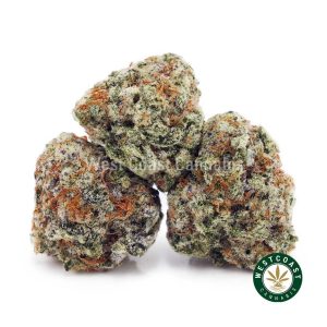 Buy Tahoe OG AAAA (Popcorn Nugs) wc cannabis weed dispensary & online pot shop