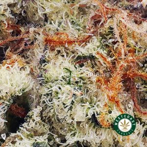 Buy Tahoe OG AAAA (Popcorn Nugs) wc cannabis weed dispensary & online pot shop