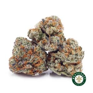 Buy Do Si Do AAAA (Popcorn Nugs) wc cannabis weed dispensary & online pot shop