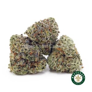 Buy Georgia Pie AAAA (Popcorn Nugs) wc cannabis weed dispensary & online pot shop