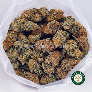 Buy Astro Cookies AAA wc cannabis weed dispensary & online pot shop