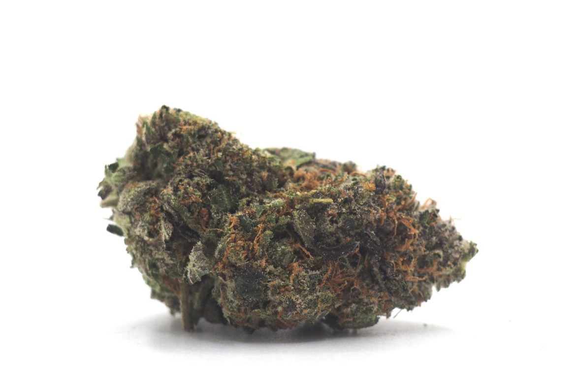 Explore the explosive effects of the popular Pink Gas strain: Learn about its origins, aroma, & effects to determine if it's worth trying.