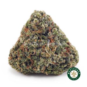Buy Blue Dream AAAA wc cannabis weed dispensary & online pot shop