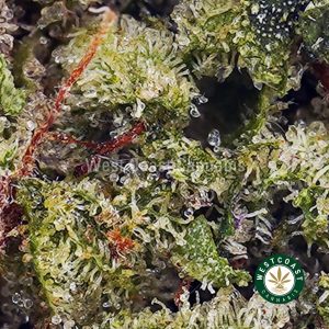 Buy Blue Dream AAAA wc cannabis weed dispensary & online pot shop