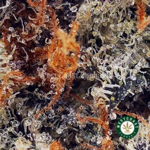 Buy LA Confidential AAAA wc cannabis weed dispensary & online pot shop