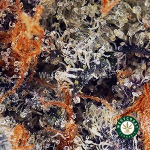 Buy Candy Land AAA wc cannabis weed dispensary & online pot shop