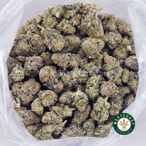 Buy Candy Land AAA wc cannabis weed dispensary & online pot shop