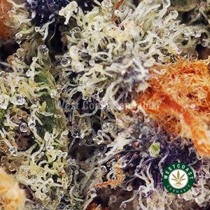 Buy Ice Cream Cake AAA wc cannabis weed dispensary & online pot shop