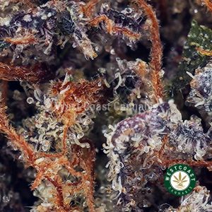 Buy Hawaiian Pink Punch AAAA+ wc cannabis weed dispensary & online pot shop