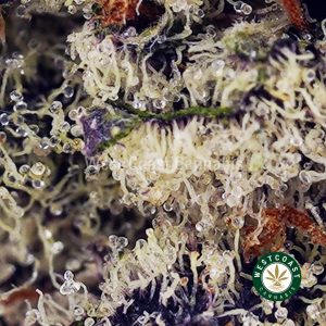 Buy Supreme Octane AAAA+ wc cannabis weed dispensary & online pot shop