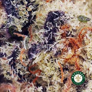 Buy Miracle Alien Cookies (MAC) AAAA+ wc cannabis weed dispensary & online pot shop