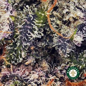 Buy Jelly Donutz AAAA wc cannabis weed dispensary & online pot shop