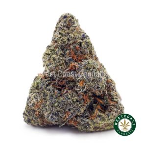 Buy Monster Glue AAAA wc cannabis weed dispensary & online pot shop