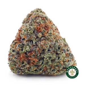 Buy AK-47 AAA wc cannabis weed dispensary & online pot shop