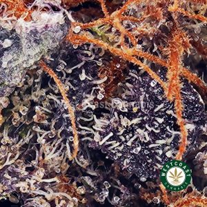 Buy Granddaddy Purple AAAA wc cannabis weed dispensary & online pot shop