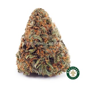 Buy Lemon Sour Diesel AA wc cannabis weed dispensary & online pot shop