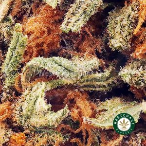 Buy Lemon Sour Diesel AA wc cannabis weed dispensary & online pot shop