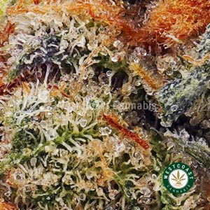 Buy Hindu Kush AAA wc cannabis weed dispensary & online pot shop