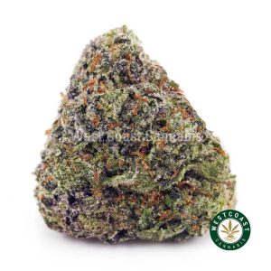 Buy Pink Bubba AAAA wc cannabis weed dispensary & online pot shop